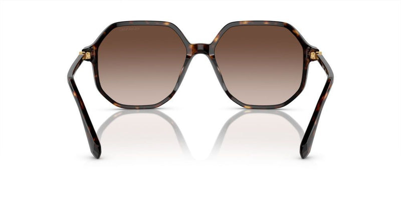 Swarovski SK6003 Occhiali da sole 100213