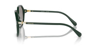 Swarovski SK6003 Occhiali da sole 1026M3