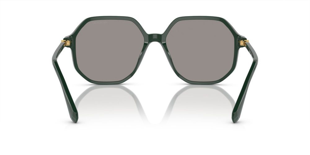 Swarovski SK6003 Occhiali da sole 1026M3