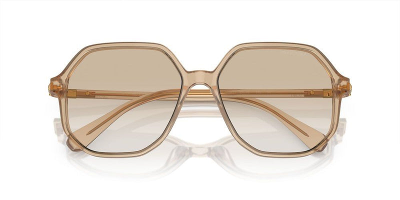 Swarovski SK6003 Occhiali da sole 103411