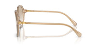 Swarovski SK6003 Occhiali da sole 103411