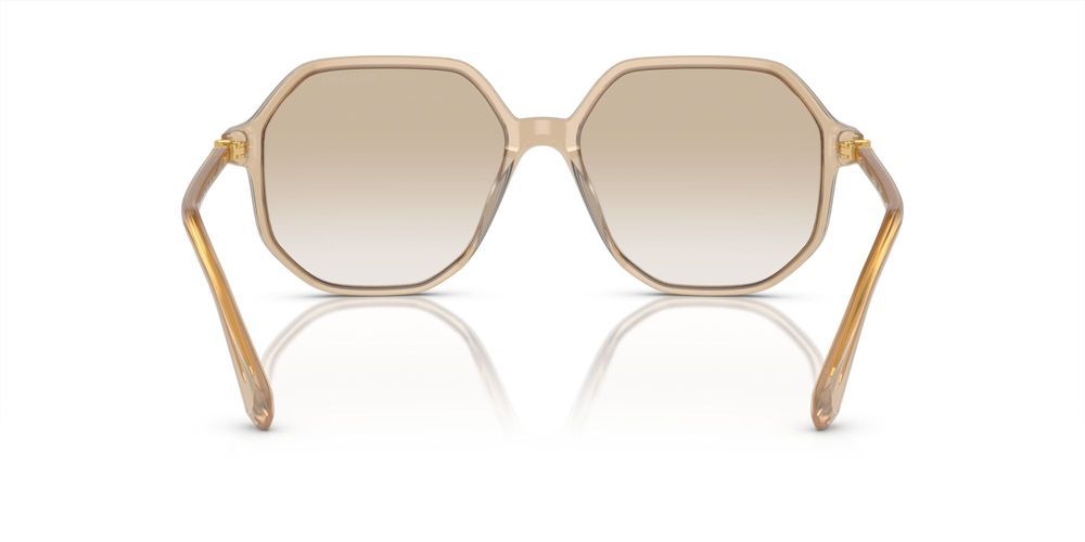 Swarovski SK6003 Occhiali da sole 103411