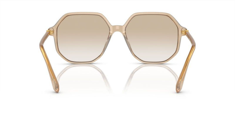 Swarovski SK6003 Occhiali da sole 103411