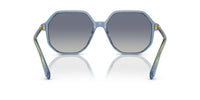 Swarovski SK6003 Occhiali da sole 10354L