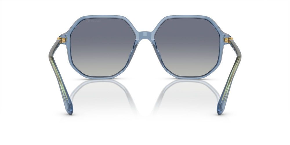 Swarovski SK6003 Occhiali da sole 10354L