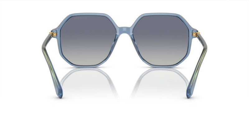 Swarovski SK6003 Occhiali da sole 10354L