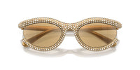 Swarovski SK6006 Occhiali da sole 1022D8