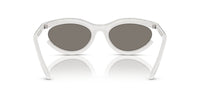 Swarovski SK6006 Occhiali da sole 10336G