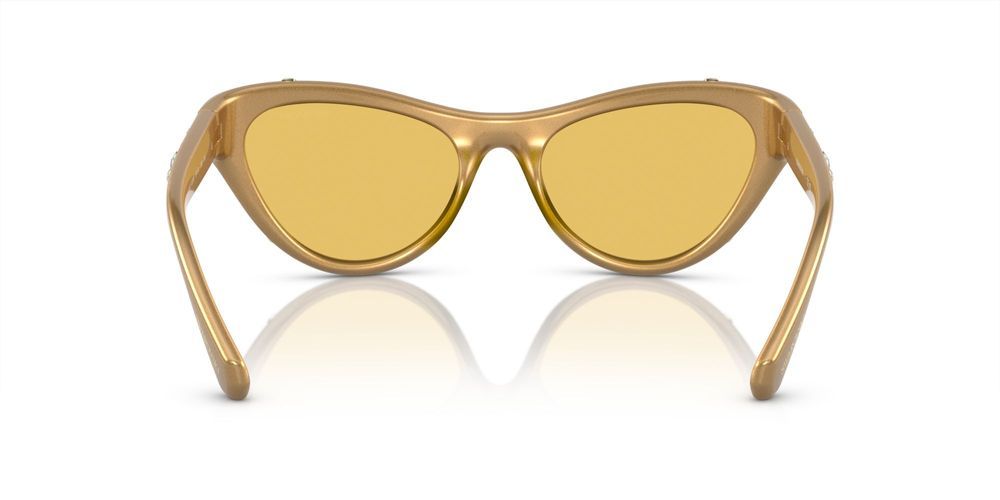 Swarovski SK6007 Occhiali da sole 102285