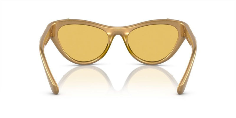 Swarovski SK6007 Occhiali da sole 102285