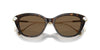 Swarovski SK6010 Occhiali da sole 100273