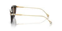 Swarovski SK6010 Occhiali da sole 100273