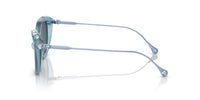 Swarovski SK6010 Occhiali da sole 200487