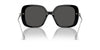 Swarovski SK6011 Occhiali da sole 1038/87