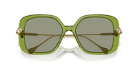 Swarovski SK6011 Occhiali da sole 3002/2