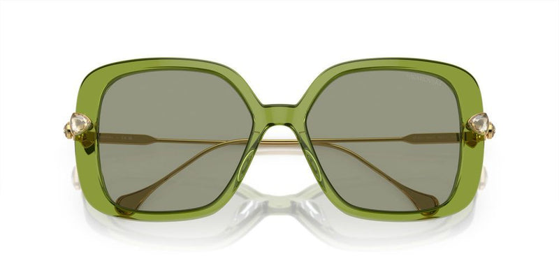Swarovski SK6011 Occhiali da sole 3002/2