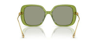 Swarovski SK6011 Occhiali da sole 3002/2