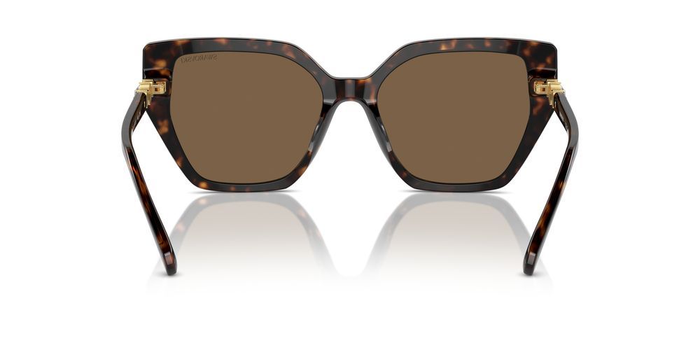 Swarovski SK6016 Occhiali da sole 100273