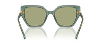 Swarovski SK6016 Occhiali da sole 104382