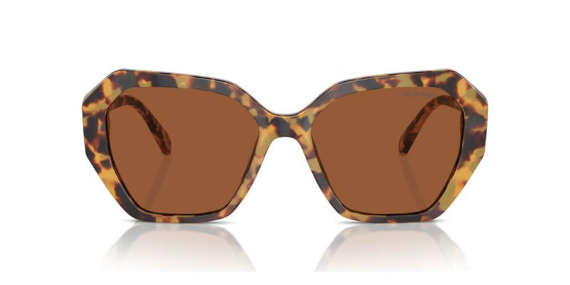 Swarovski SK6017 Occhiali da sole 100473