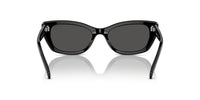 Swarovski SK6019 Occhiali da sole 100187
