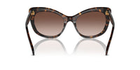 Swarovski SK6020 Occhiali da sole 100213