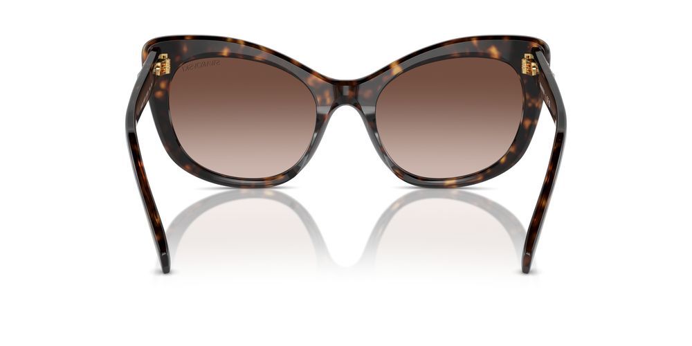 Swarovski SK6020 Occhiali da sole 100213