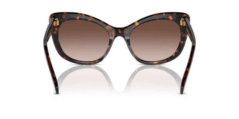 Swarovski SK6020 Occhiali da sole 100213