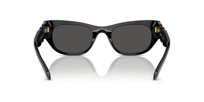 Swarovski SK6022 Occhiali da sole 100187