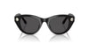 Swarovski SK6025 Occhiali da sole 100187