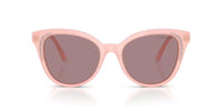 Swarovski SK6031 Occhiali da sole 10317N