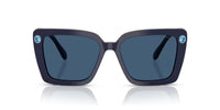 Swarovski SK6032 Occhiali da sole 100455
