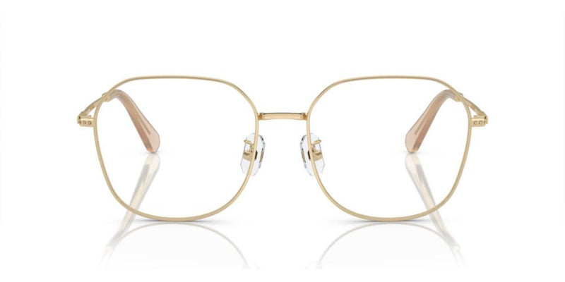 Swarovski SK 1009D Occhiali da vista 4013