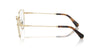 Swarovski SK 1012 Occhiali da vista 4013