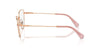 Swarovski SK 1012 Occhiali da vista 4014