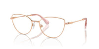Swarovski SK 1012 Occhiali da vista 4014