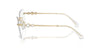 Swarovski SK 1014 Occhiali da vista 4013