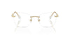Swarovski SK 1014 Occhiali da vista 4013