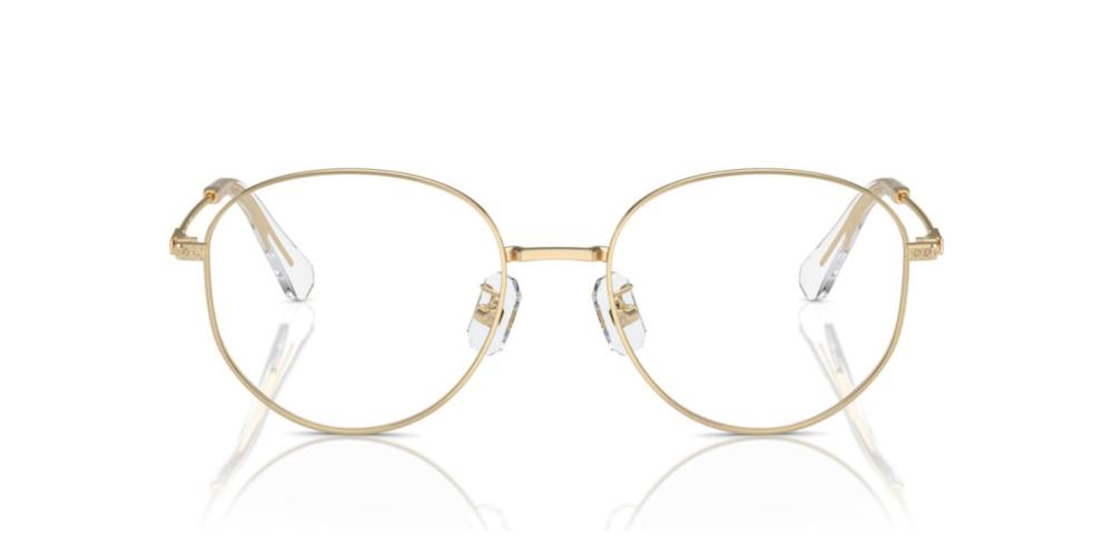 Swarovski SK 1016D Occhiali da vista 4013