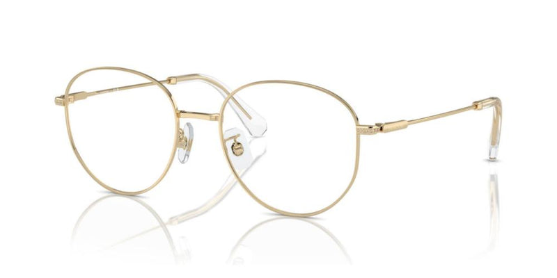 Swarovski SK 1016D Occhiali da vista 4013