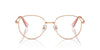 Swarovski SK 1016D Occhiali da vista 4014