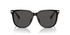 Swarovski SK 6015D Occhiali da sole 100187