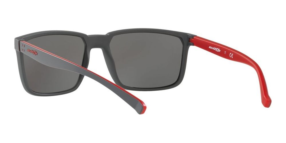 Arnette STRIPE AN 4251 Occhiali da sole 2573/6G