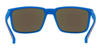 Arnette STRIPE AN 4251 Occhiali da sole 286422