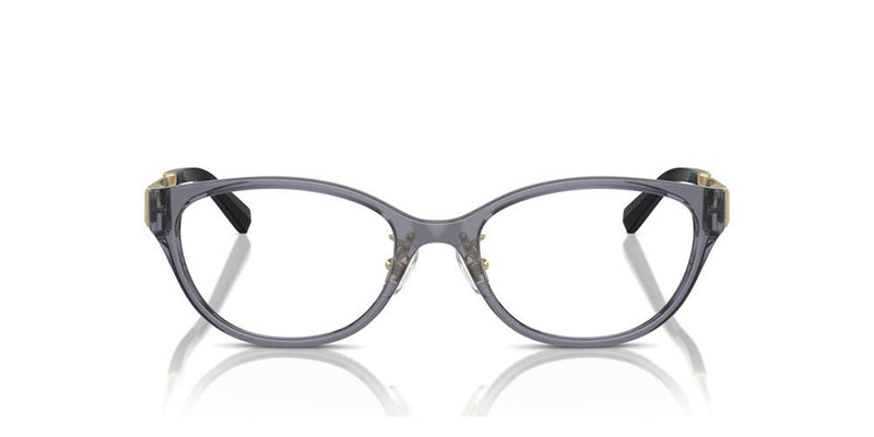 Tiffany & Co. TF 2252D Occhiali da vista 8405