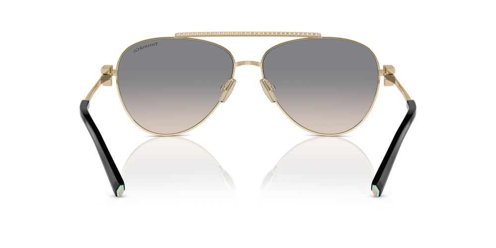 Tiffany & Co. TF 3101B Occhiali da sole 61791U