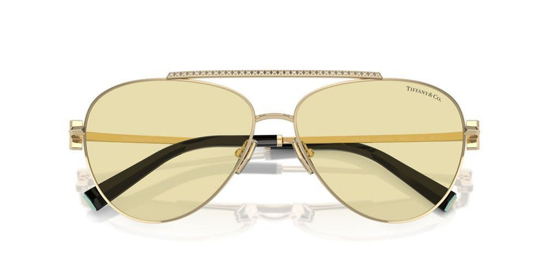 Tiffany & Co. TF 3101B Occhiali da sole 6210M4