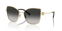 Tiffany & Co. TF 3102B Occhiali da sole 60213C