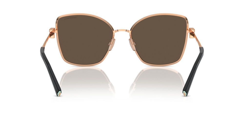 Tiffany & Co. TF 3102B Occhiali da sole 61750W