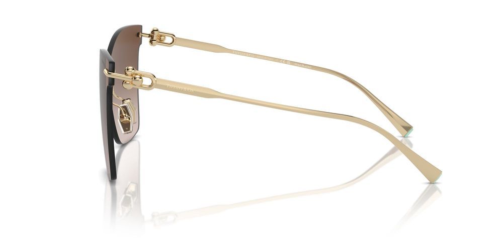 Tiffany & Co. TF 3103K Occhiali da sole 62123B